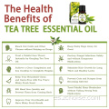 aceite esencial orgánico puro aceite esencial de árbol de té
